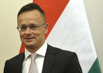 Hungarian Minister of Foreign Affairs and Trade Peter Szijjarto, right, receives Serbian Minister of Energy and Mining Aleksandar Antic in his office in Budapest, Hungary, Friday, June 14, 2019. (Attila Kovacs/MTI via AP)