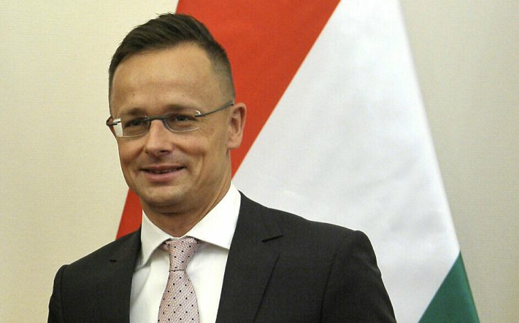 Hungarian Minister of Foreign Affairs and Trade Peter Szijjarto, right, receives Serbian Minister of Energy and Mining Aleksandar Antic in his office in Budapest, Hungary, Friday, June 14, 2019. (Attila Kovacs/MTI via AP)