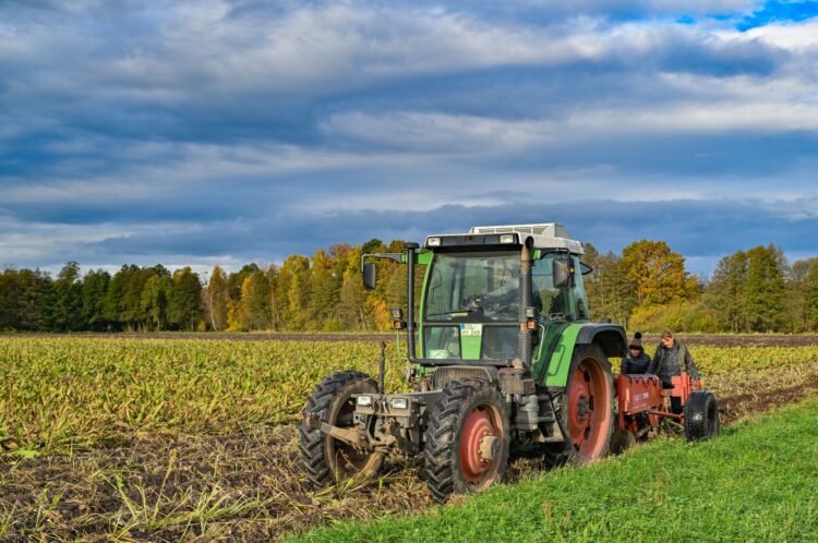 FILED - Harvest workers from the Spreewald vegetable farm take freshly harvested horseradish roots out of the ground behind a machine in a field. The number of farms in Germany will be reduced by more than half by 2040, DZ Bank estimated in an analysis released on Friday, as German farmers protest over their financial struggles. Photo: Patrick Pleul/dpa