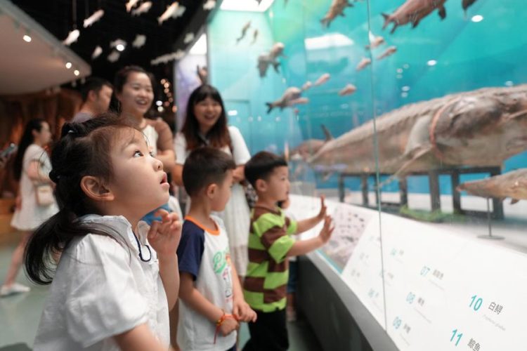 (240609) -- BEIJING, June 9, 2024 (Xinhua) -- Children visit Chongqing Natural History Museum in southwest China's Chongqing Municipality, June 9, 2024. People enjoy the 3-day holiday of the Dragon Boat Festival, also called Duanwu Festival, which falls on June 10 this year, via various activities across the country. (Photo by Qin Tingfu/Xinhua)
