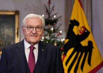 German President Frank-Walter Steinmeier poses for a portrait after the recording of his traditional Christmas message at Bellevue Palace. Photo: Markus Schreiber/Pool AP/dpa